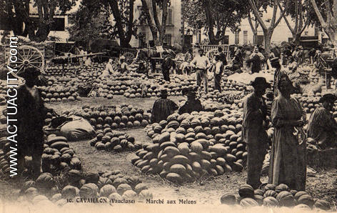Le marché aux melons